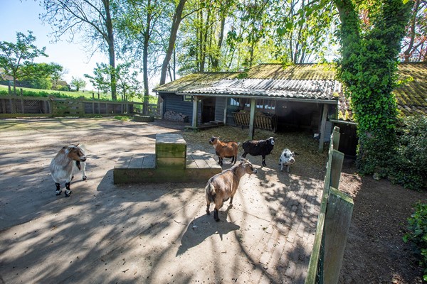 Medium property photo - Cattenbroekerdijk 26A, 3461 BC Linschoten